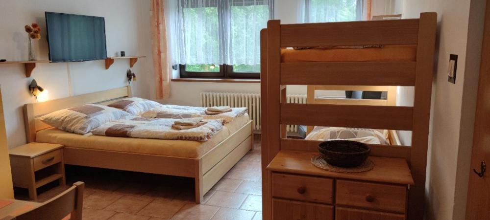 U Machacku - Lipno Apartment Липно над Вълтава Екстериор снимка