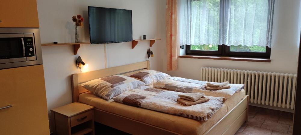 U Machacku - Lipno Apartment Липно над Вълтава Екстериор снимка