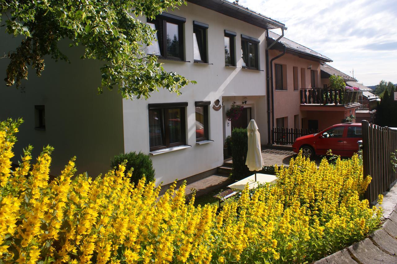 U Machacku - Lipno Apartment Липно над Вълтава Екстериор снимка